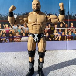 WWE Action Figure : The Warlord