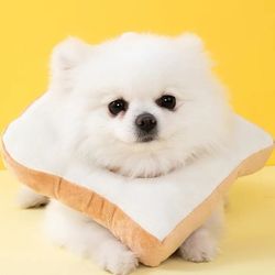 Adorable And Flexible Toast-Shaped Collar for Cats, Designed for Recovery After Surgery And Grooming