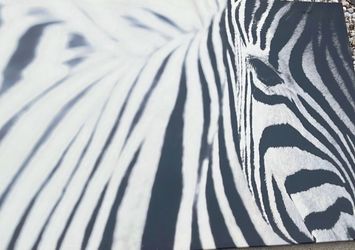 Zebra Print Canvas Wall Art
