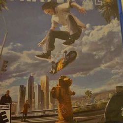 PS4 XL Skater Game