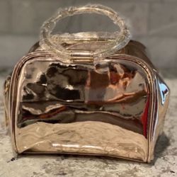 Ladies Night Out Metallic Gold Handbag 