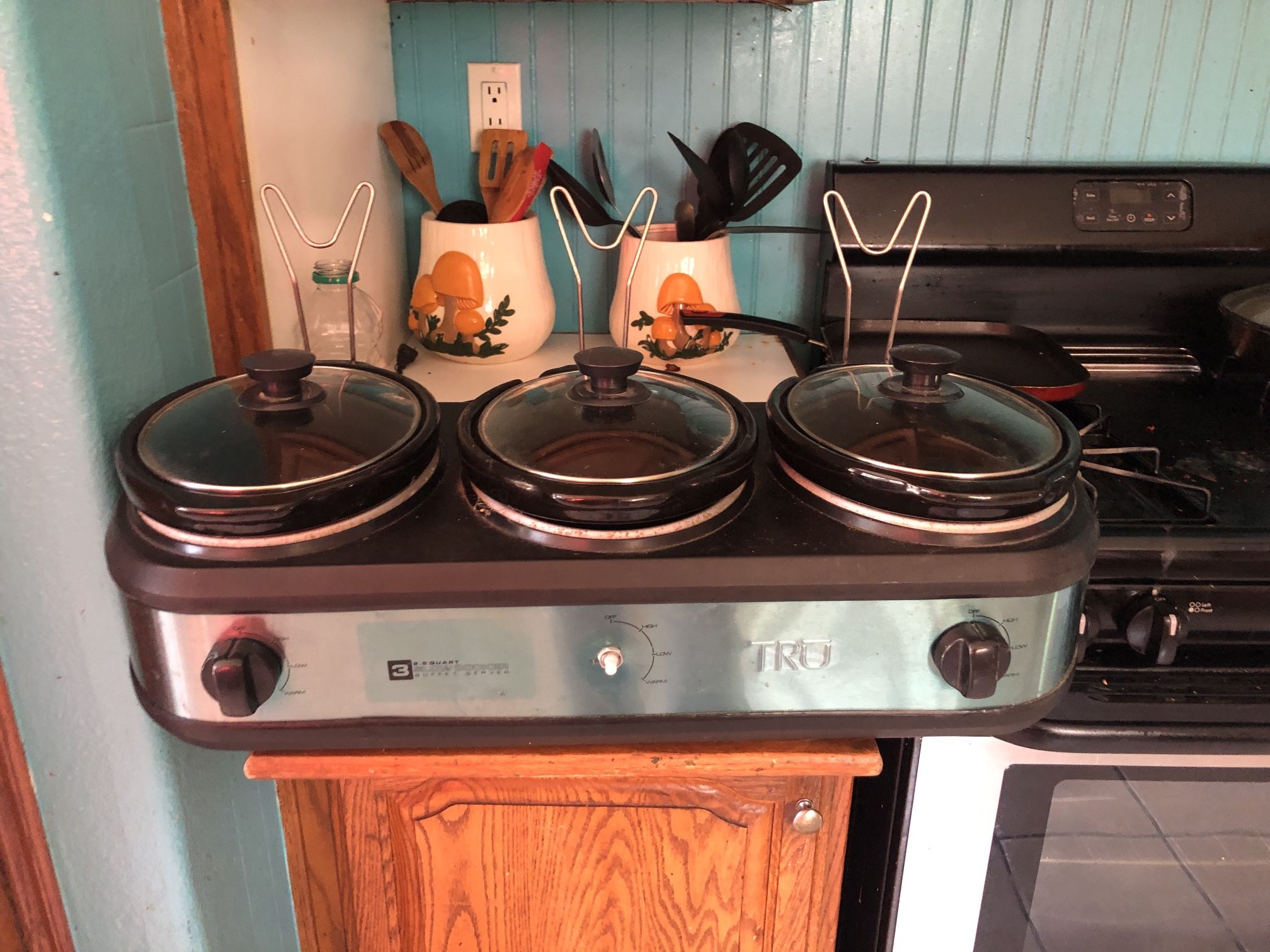 Electric Slow Cooker