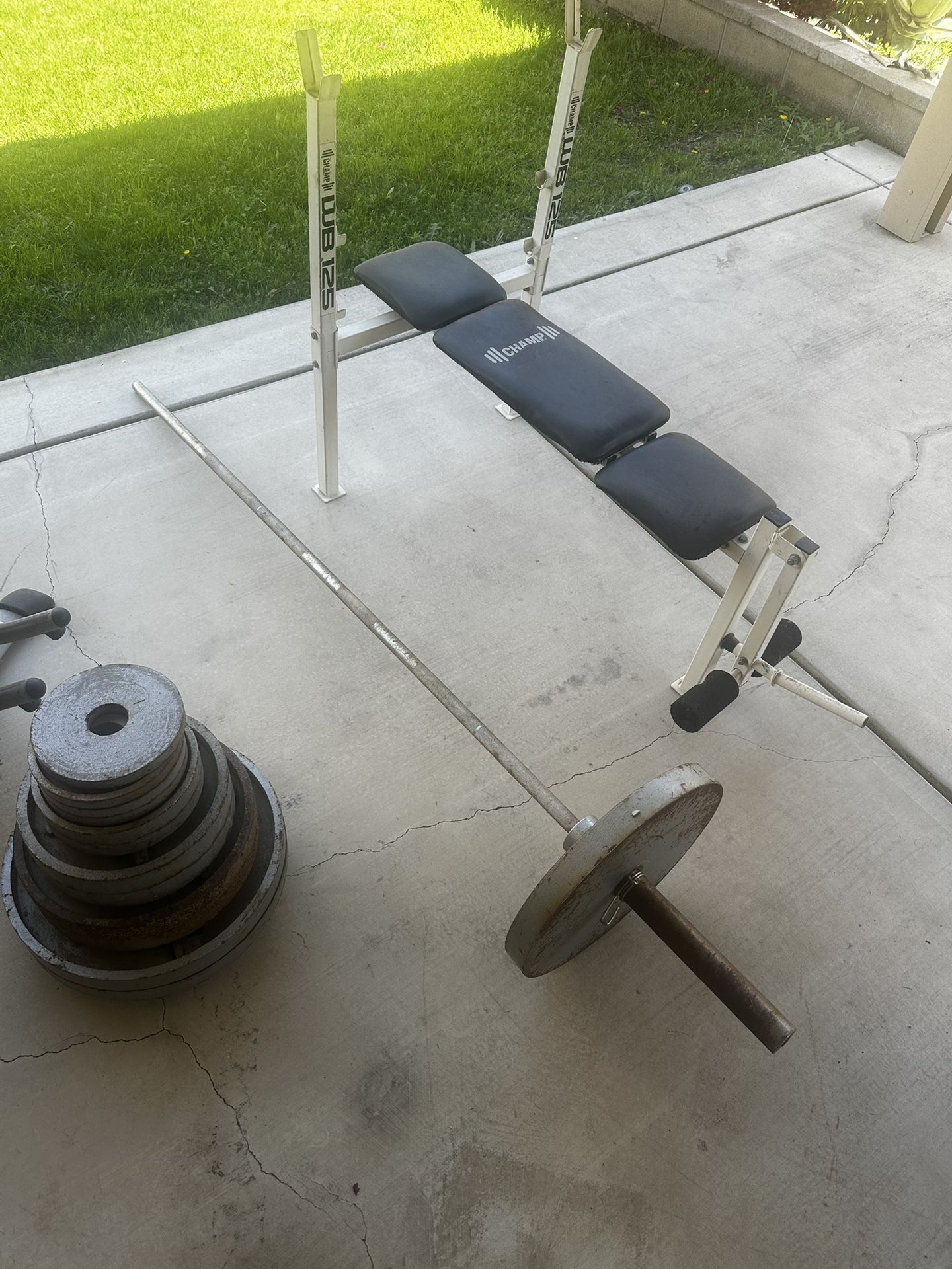 Bench Press With Weights