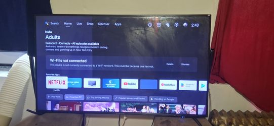 Insignia Flat Screen TV with Stand