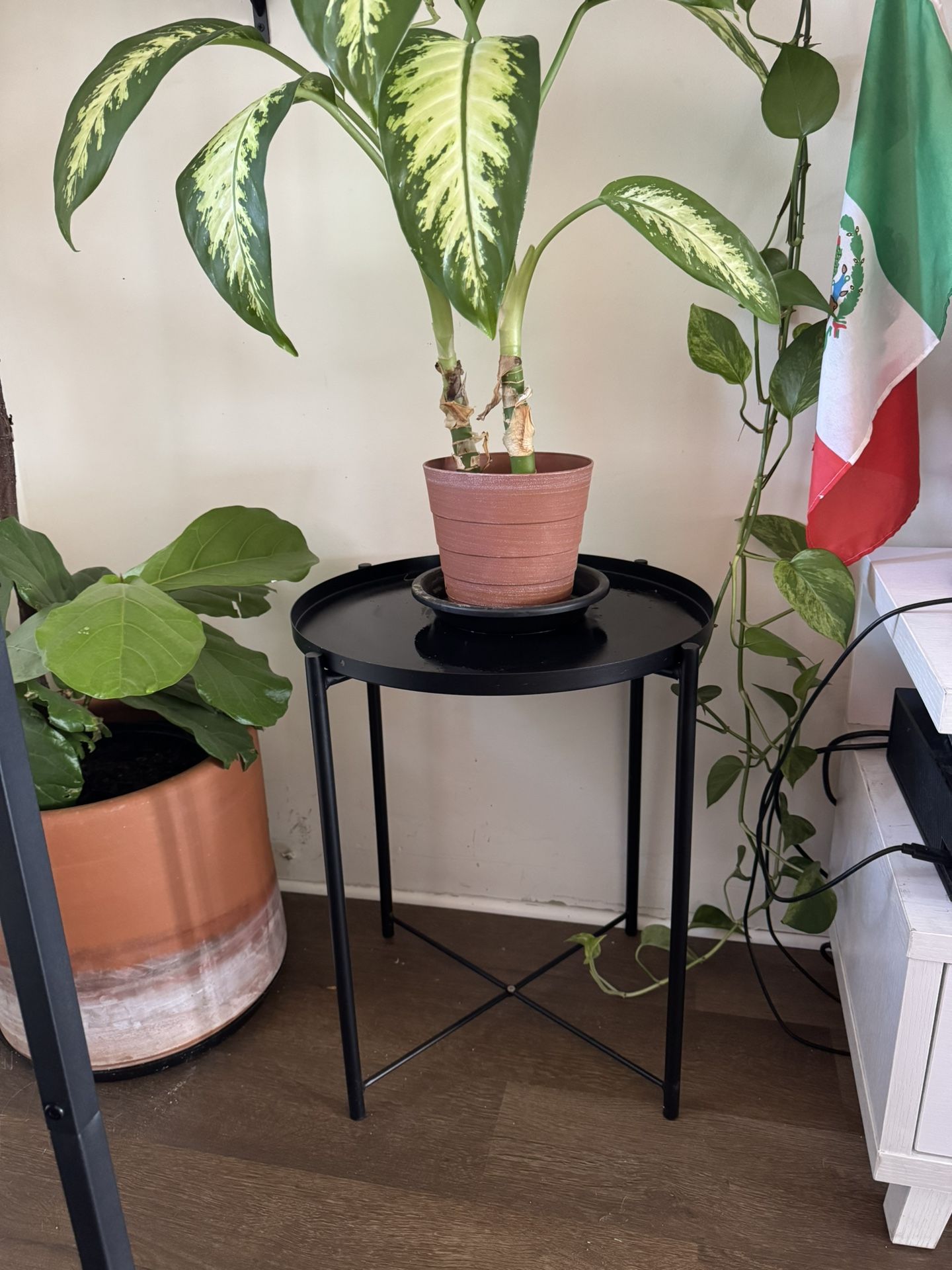 plant stand / side table