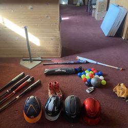 Baseball Bats, Gloves, Training Equipment 