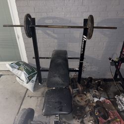 Bench Press With Weights 
