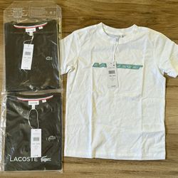 Brand New Lacoste Shirts For Boys