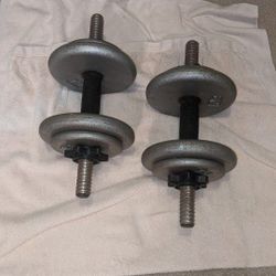 Set Of 20 Lb Dumbbells