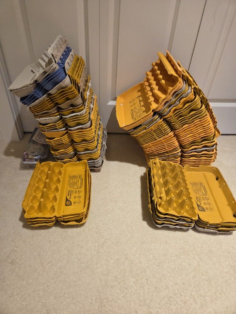 Clean Egg Cartons
