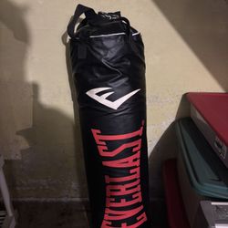 Everlast Heavy Bag