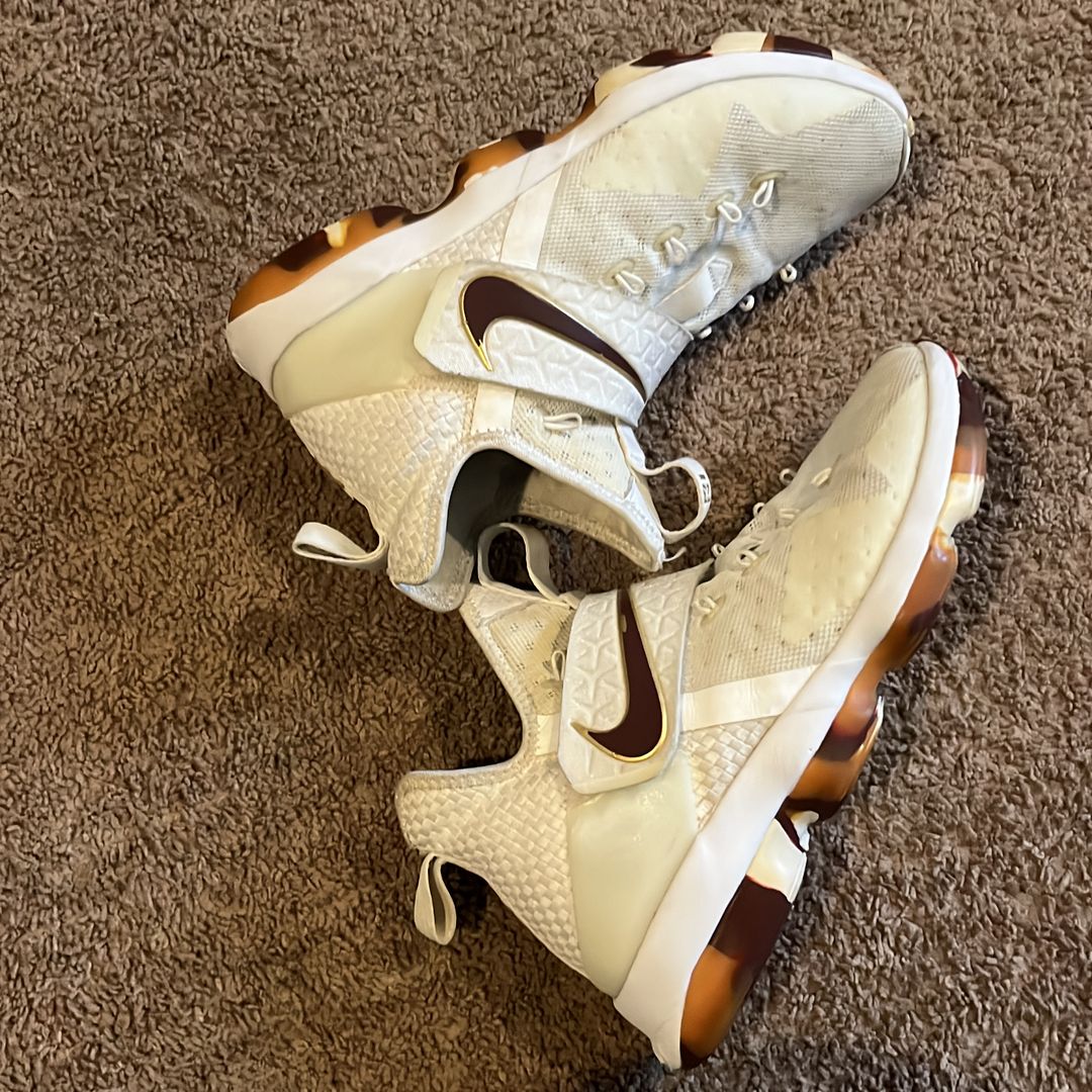 LeBron 14