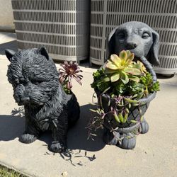 One Of A Kind, Large, Succulent, Dog Planters