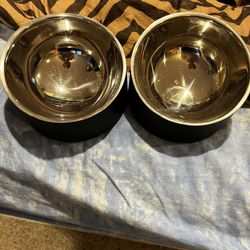 Cat Or Dog Bowl 