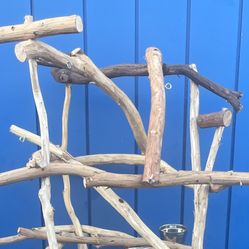 Macaw / Cockatoo Perch Tree … Thick And Curvy … A Great Socializer !  AAA+ Quality… Breeder Direct Low Price 👍🏼