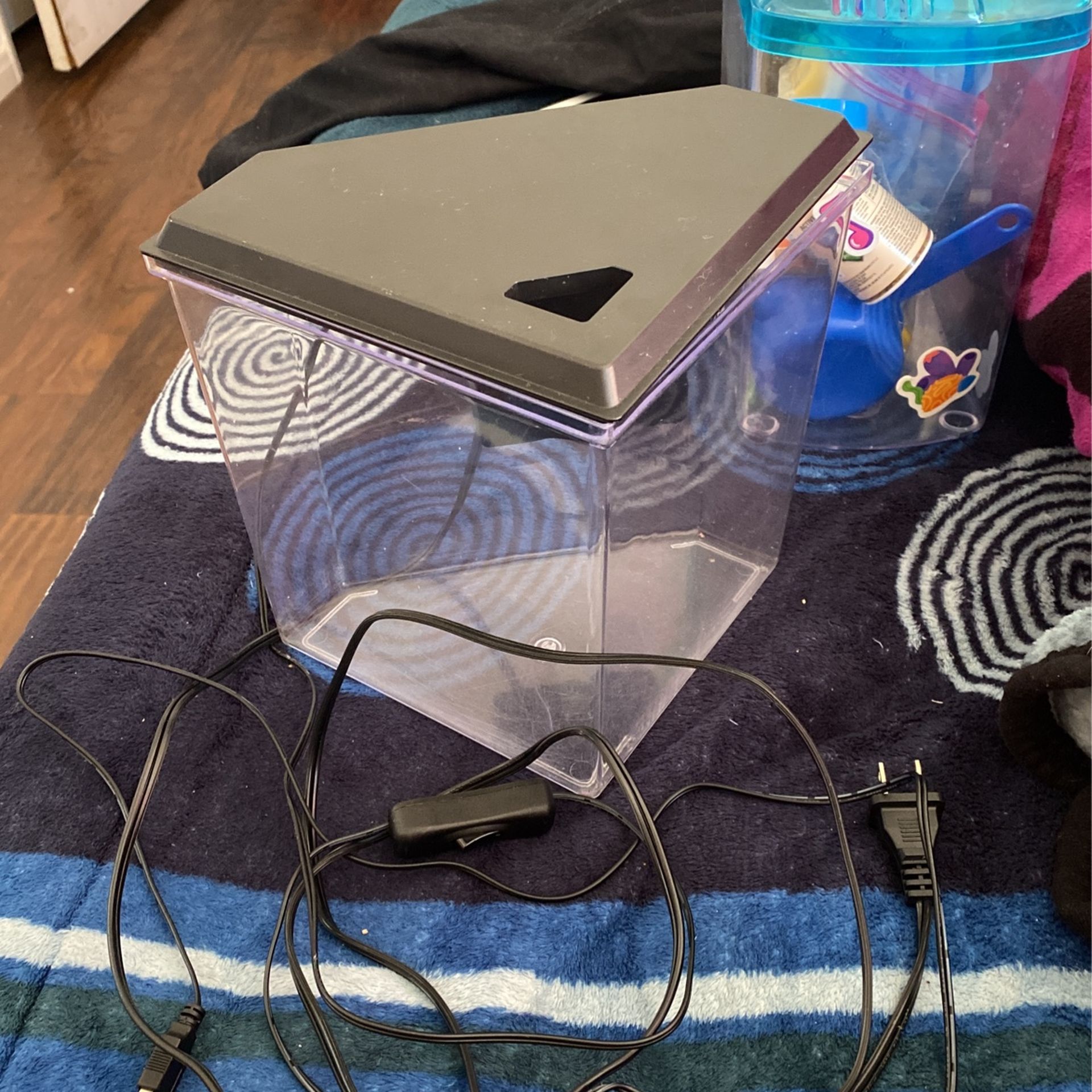 Fish Tank With Fish Essentials