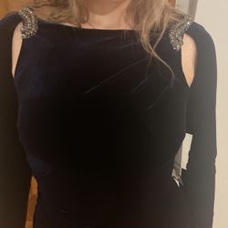 Teri Jon Velvet Dress 