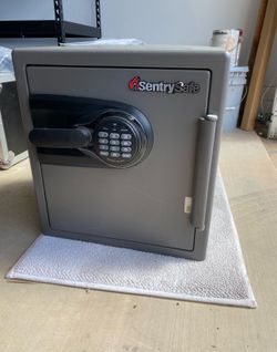 Sentry Safe