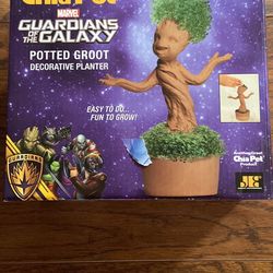 Chia Plant Kit