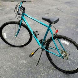 Vintage 1995 26' Roadmaster Chromium Edition Clean