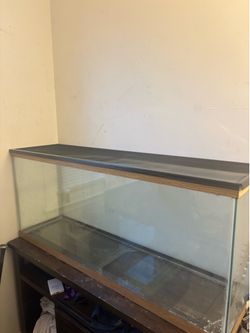 55 gallon fish tank