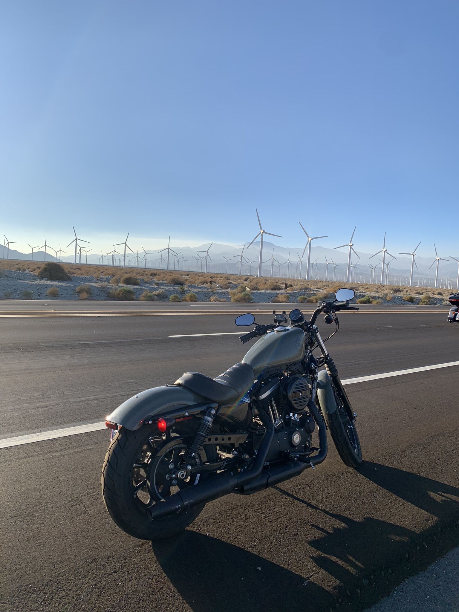 2021 Harley Davidson Iron 883