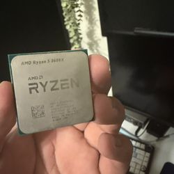 Ryzen 5 3600x 