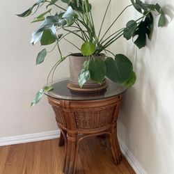 Side Table / Plant Stand - Vintage Rattan