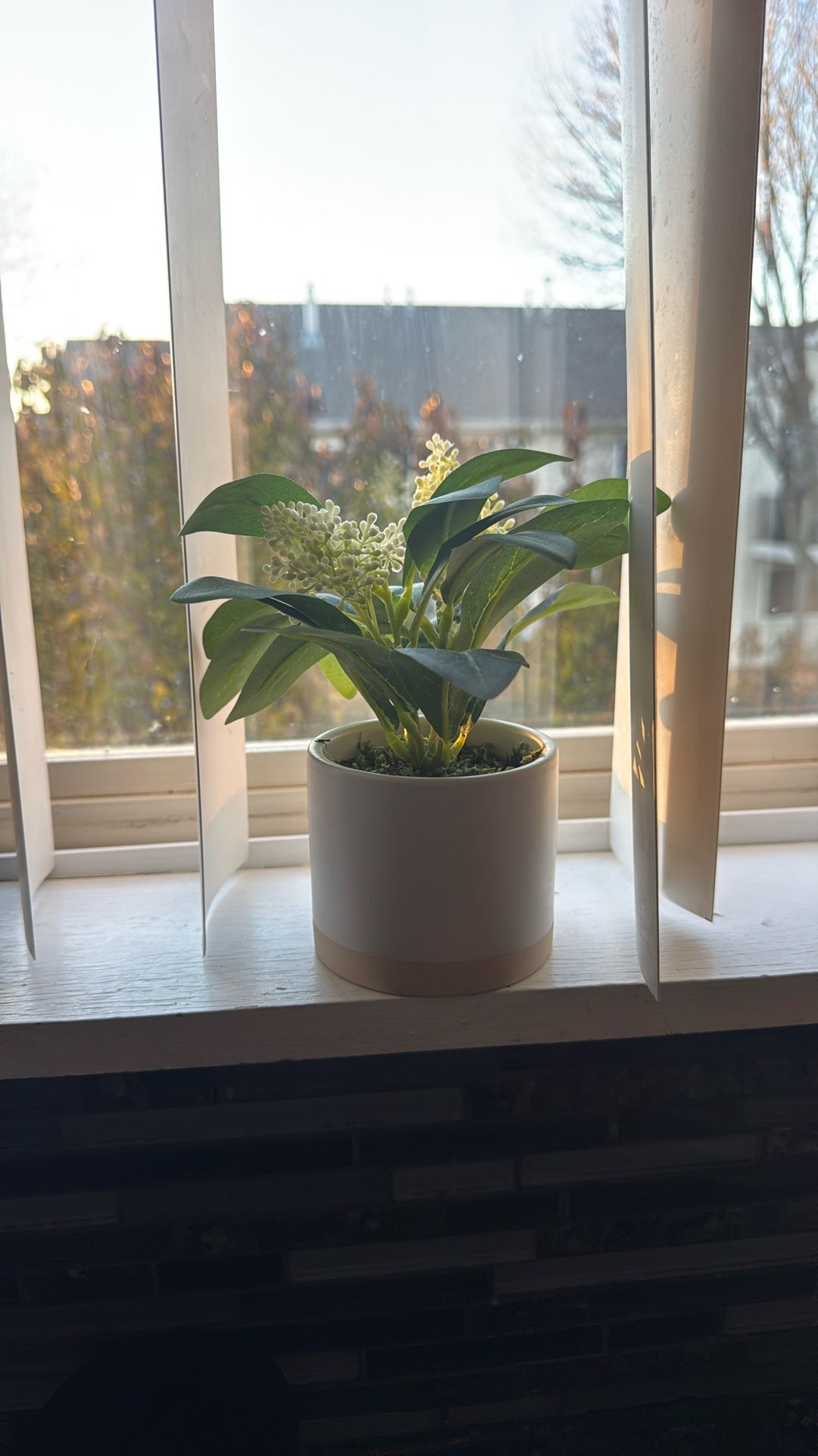 Fake Mini Plant 