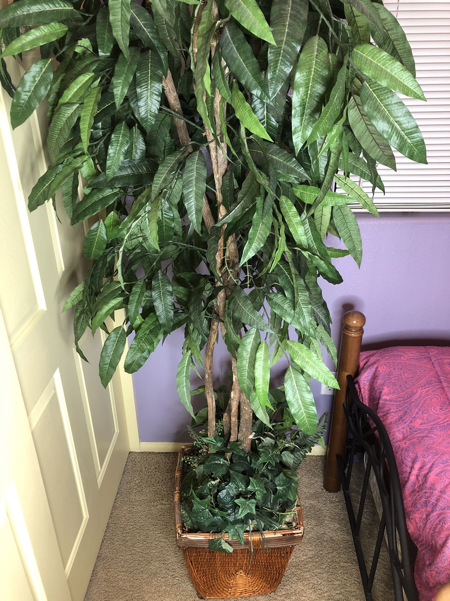 Large Tree Plant decor for house/room