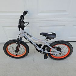 Schwinn Scorch 16" Kids Bike Ready to Ride *Pick-up in Great Bridge*