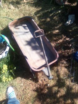 Radio Flyer Red Wagon