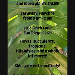 MAY 2nd HUGE PLANT SALE