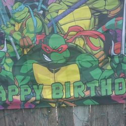 Ninja Turtles Birthday Party Supplies 
