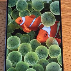 IPhone 17 PRO Max 256gb 