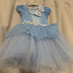 Cinderella Disney Custome