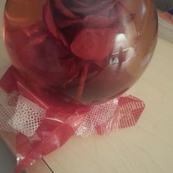 Rose Water Dome 