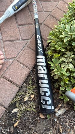 marucci cat x vanta