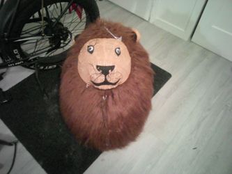 Magnificent Leo s' or love lions to set off ego,lights and sets...