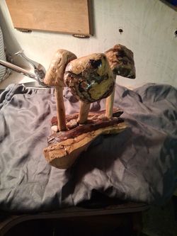 Mushroom Arrangement