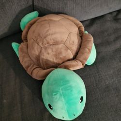 Turtle Plush Toy