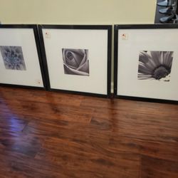 $15 Each Black And White Picture 