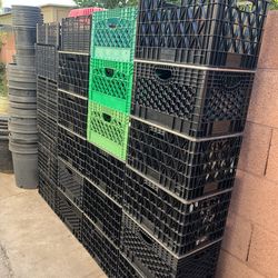 Four Rows Large Stacks of milk crates