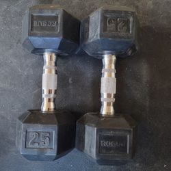 25lb Rogue Rubber Hex Dumbells