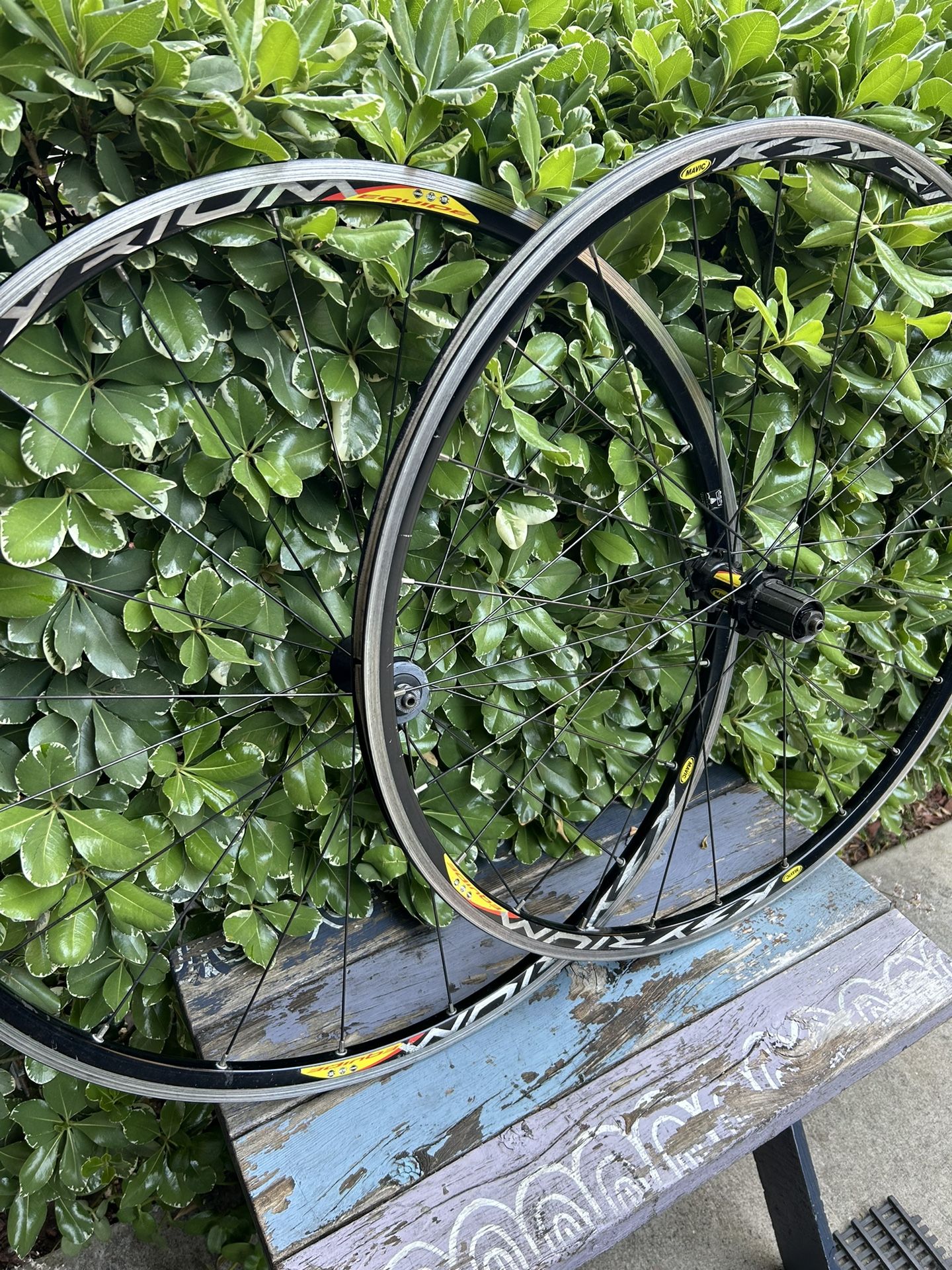 Kysrium Equipe Wheelset