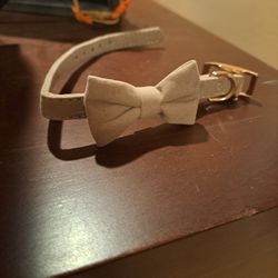 Ribbon Small Dog Or Cat Collar New 12"