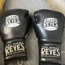 Cleto Reyes 12oz Gloves