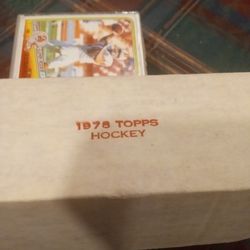 1976 Topps Hockey