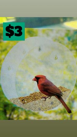 NEW Clear Birdfeeder 🦜