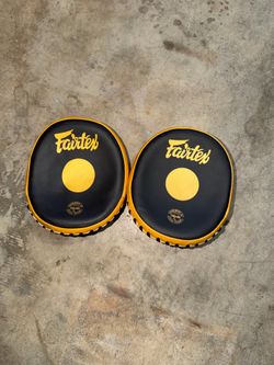 Fairtex focus mitts